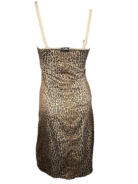 Dolce & Gabbana Silk Leopard Print Dress