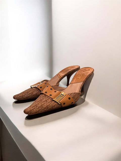 Mule Monogramme Marron Dior