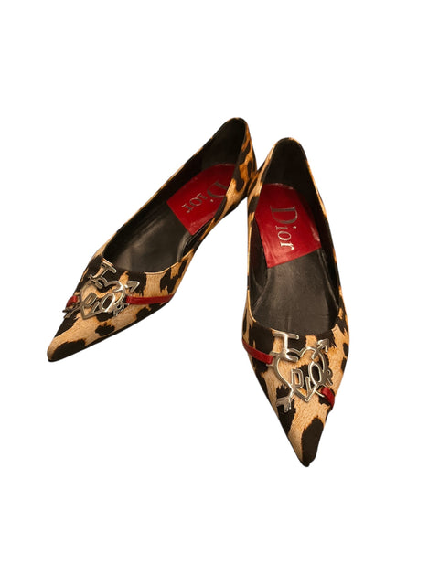 Dior Pointy Ballerina