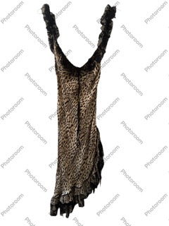 Roberto Cavalli Leo Silk Dress