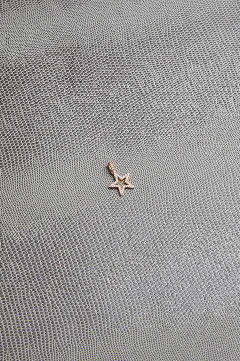 Star pendant