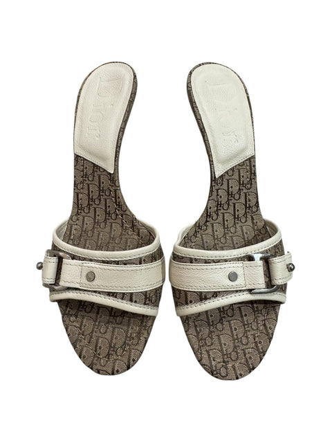 Dior Light Brown Mules