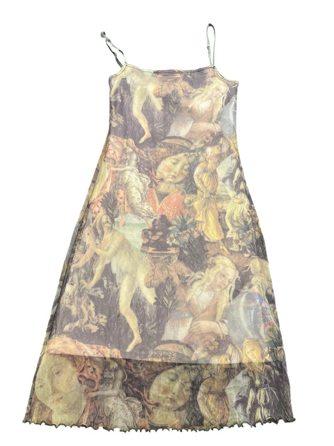 Hallheber Renaissance Print Mesh Dress