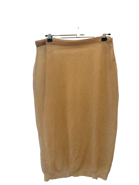 Miu Miu Transparent Skirt